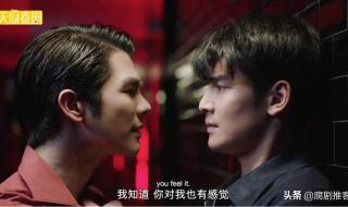 黑帮少爷爱上我小说